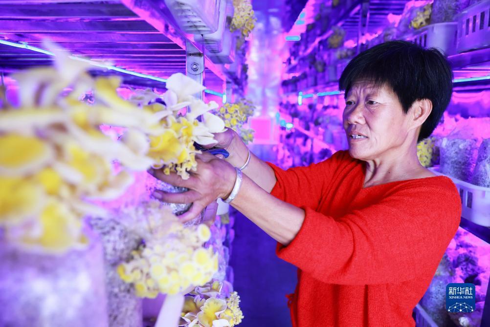 金沙返利网